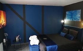 Appartement Avec Sauna Et Balneo Privatifs -Troyes Centre