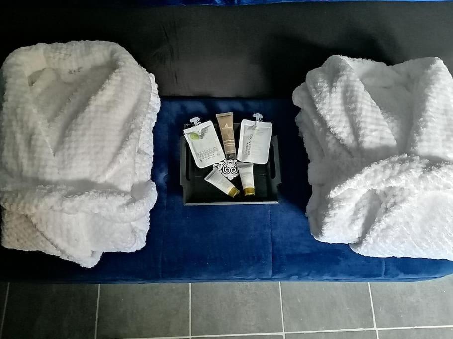 Appartement Avec Sauna Et Balneo Privatifs -Troyes Centre Extérieur photo